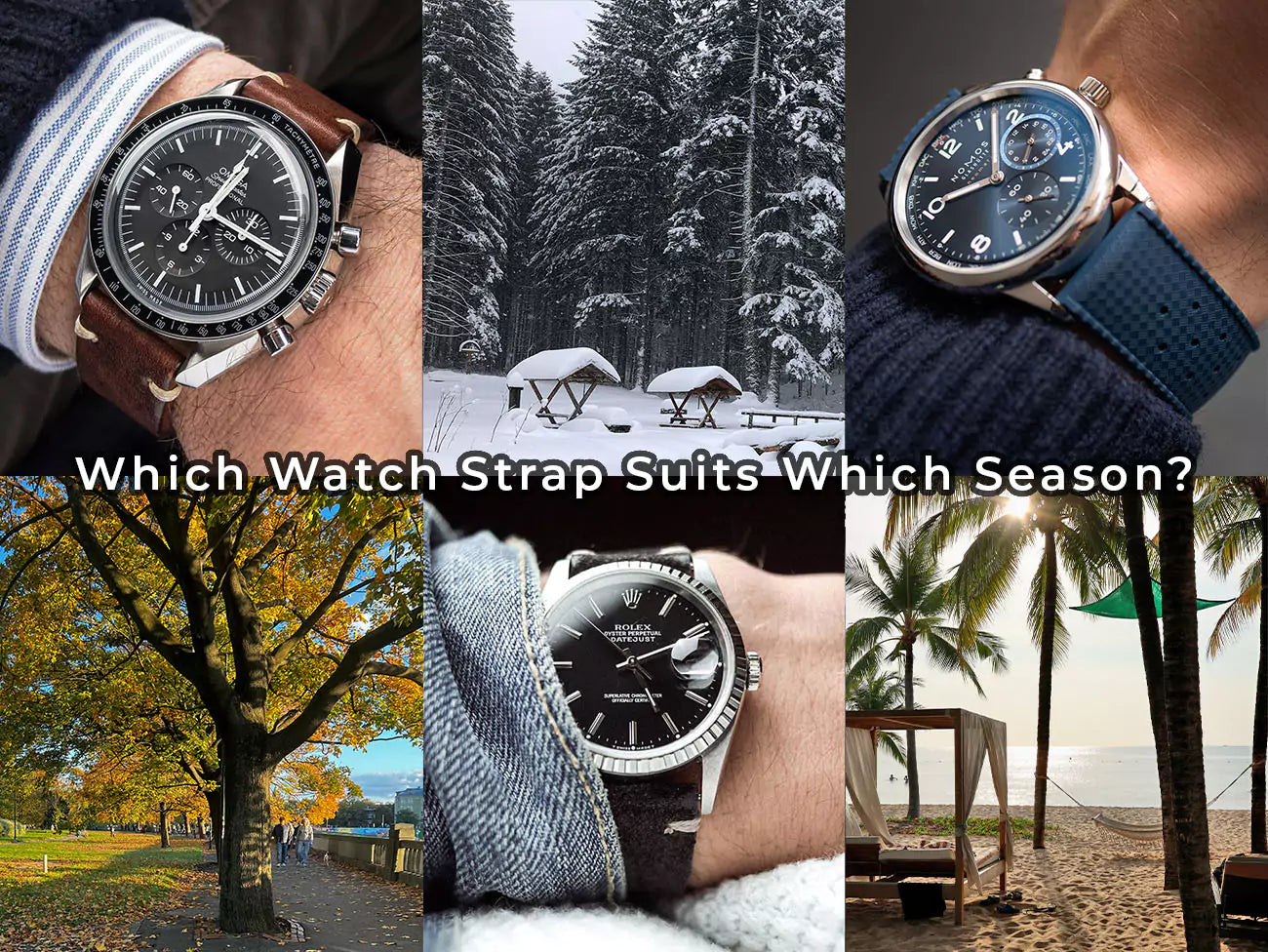 which-watch-strap-suits-which-season-title