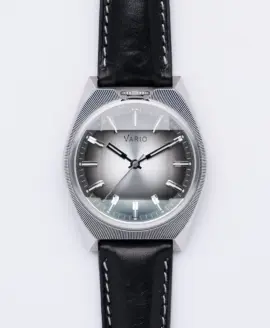 Vario - Futurist - Sunburst Silver Fume